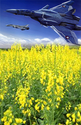 空中漫步--景区春游（艾特菲）