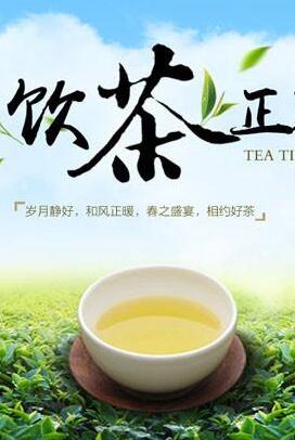 茶叶专营店（热点科技）