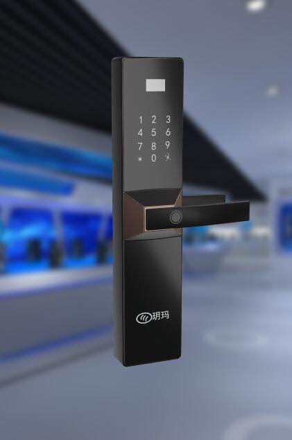 玥玛安防（艾克斯）